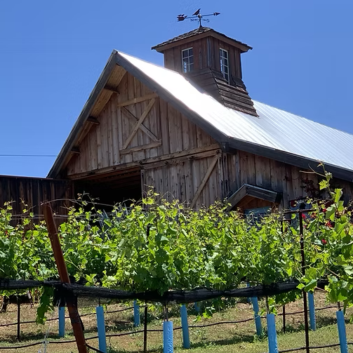 Stehly Grove Management